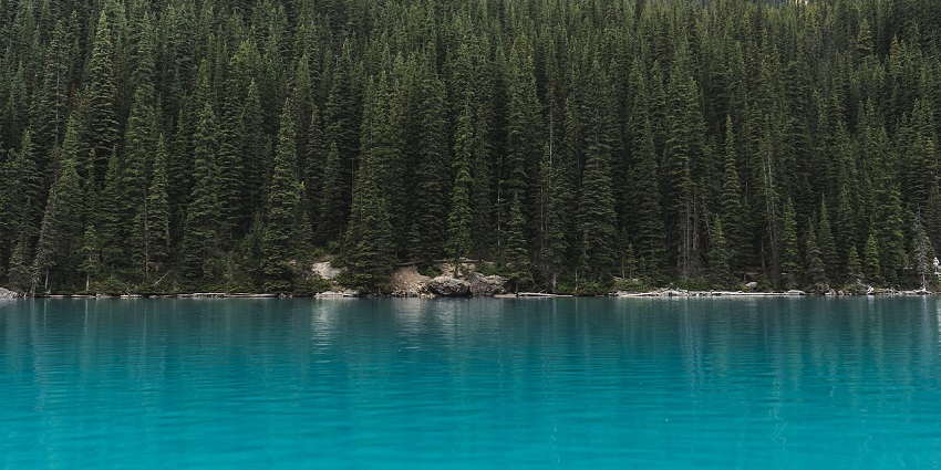 A peaceful lake surrounded by tall trees, a popular destination near Wood Buffalo National Park.