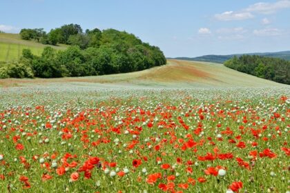 A view of the Czech Republic’s natural landscapes and landmarks.