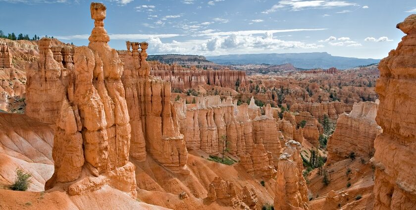 A picture of the Bryce Canyon showcasing the Thor's Hammer formation .