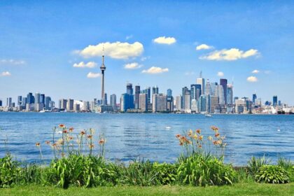 City view of Toronto, Ontario, with many skyscrapers and small buildings from CN tower.