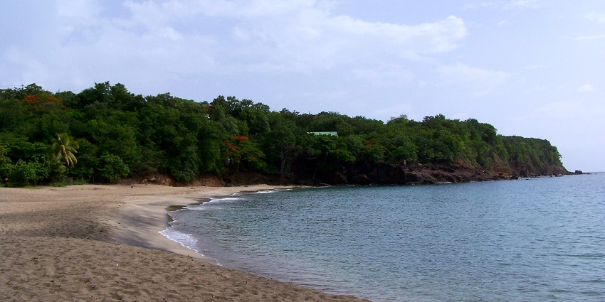 Image of a beach surrounded by lush greenery - Plage Petite Afrique, Nice's hidden beach paradise