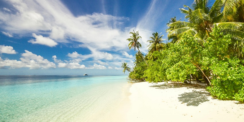 An image of palm trees and turquoise waters of a popular Cancun beach in Mexico