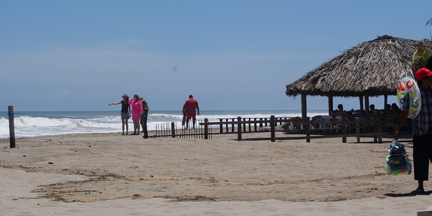 A sunny beach with calm waves, sand, and palm trees along the coast of Acapulco, Mexico.
