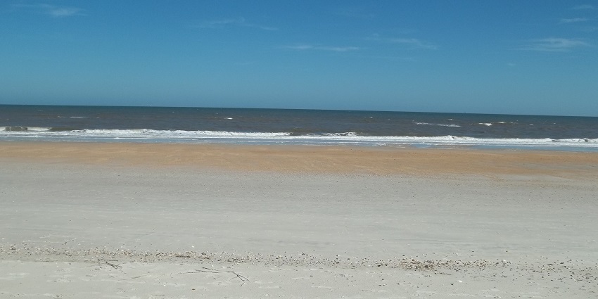 An image of one of the popular beaches in Jacksonville, where people are chilling.