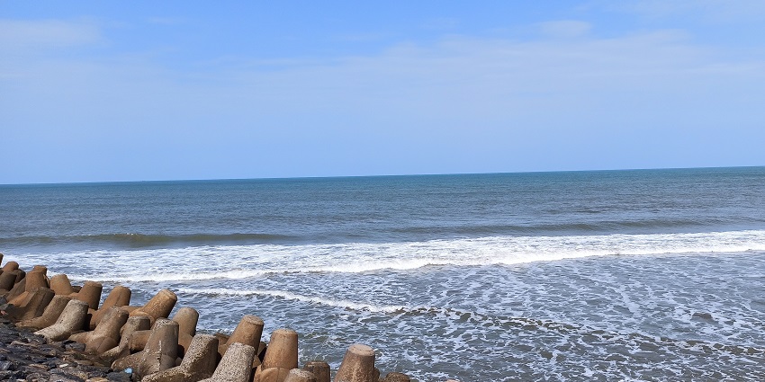 A historical Poompuhar Beach where the golden sands of coconut groves touch waves smoothly.