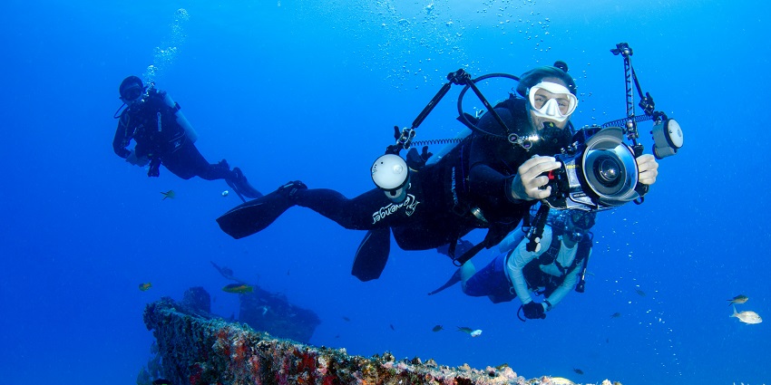Scuba dive at Neptune Islands Port Lincoln, which is on the Eyre Peninsula in South Australia.