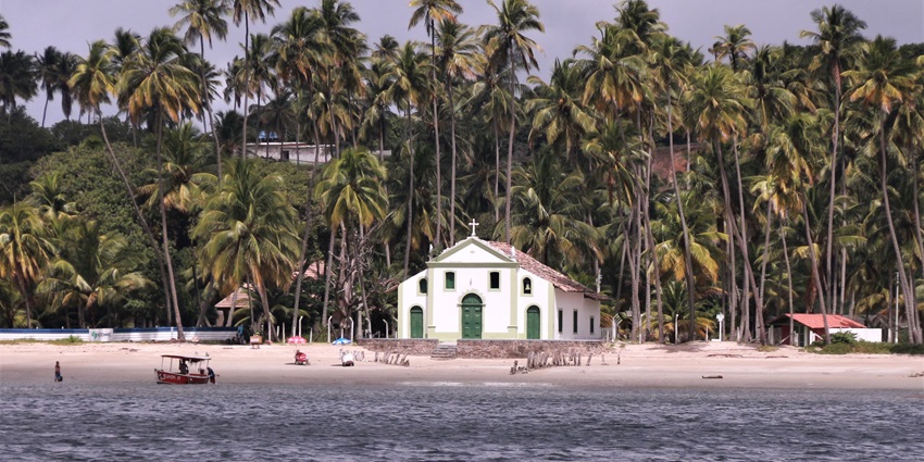 A view of Praia dos Carneiros beach surrounded by palm trees among Brazil Beaches.