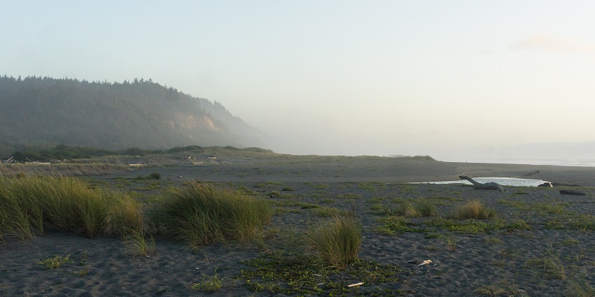 An image of a scenic view of the State Park, a famous place near the Redwood National Park, USA.