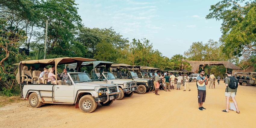 An image of the tourists on a safari vehicle looking at wildlife.
