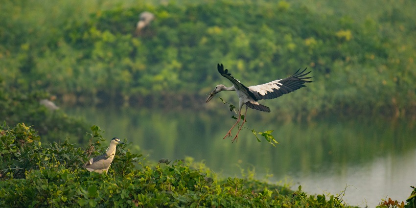 An image of birds sculpted on the branches of a tree statue in Purbasthali Bird Sanctuary.