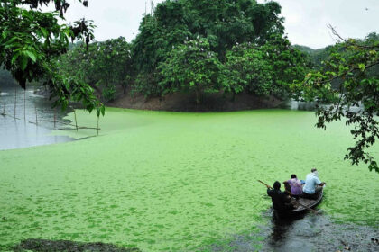 An image of oxbow lush green lake which is situated at Raiganj Wildlife Sanctuary.