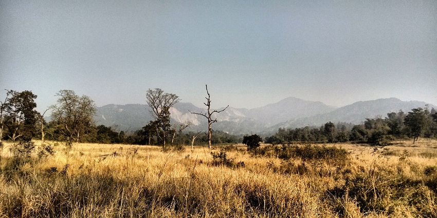 Experience nature at Rajaji National Park with stunning views.