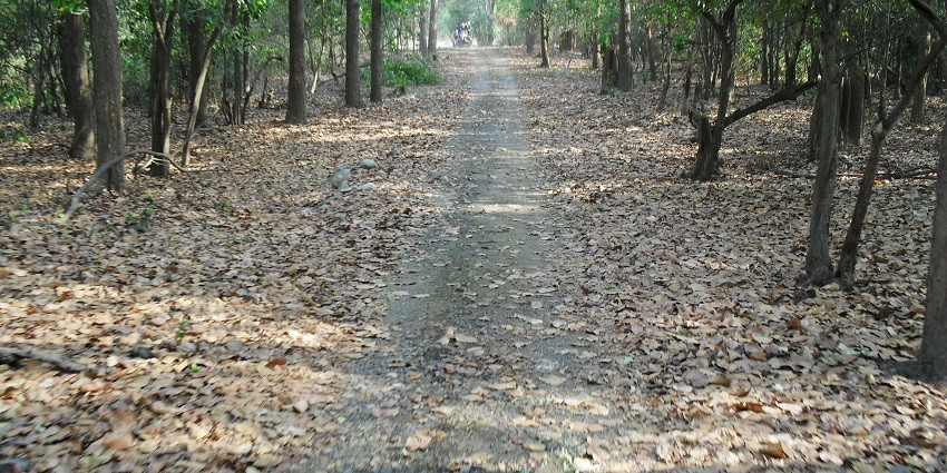 Diverse wildlife sanctuary featuring lush forests and scenic landscapes.
