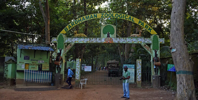 A view of the entrance of Ramnabagan Wildlife Sanctuary or Burdwan Zoological Park.