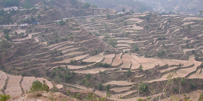 Beautiful hill town surrounded by forests and majestic Himalayas.
