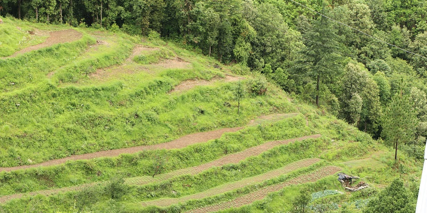 The green hills of Ranikhet, one of the most peaceful hill stations near Vrindavan.