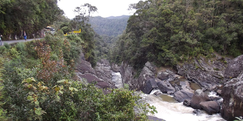 Image of Lush rainforests, rare lemurs, and hot springs during day time