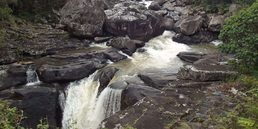A river flowing through the Ranomafana National Park creates a mesmerizing view