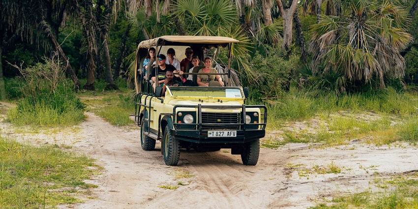 An image of the adventurers trekking through a forest during a jungle safari in Pune.