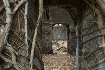 Ancient ruins of Redi Fort with crumbling stone walls surrounded by lush greenery