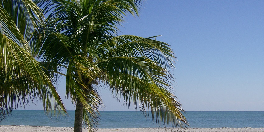 Crandon Beach Park with an ocean and sandy shoreline - one of the things to do in Miami.