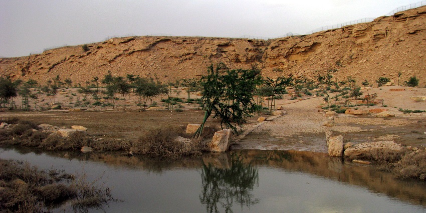 Picturesque Riyadh valley with walking trails, water features, and greenery