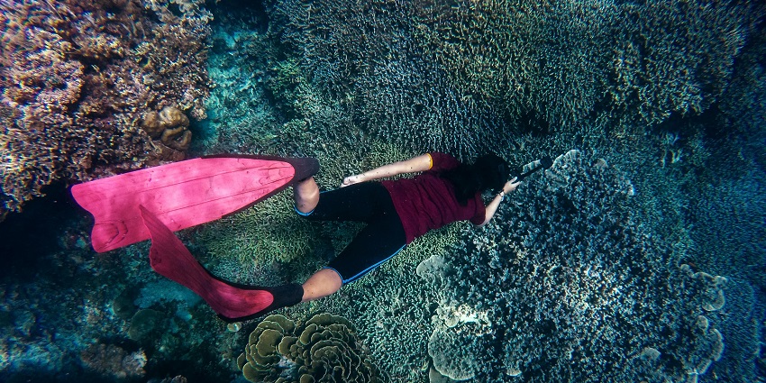 Scuba diving in Alibaug at the Rewas Beach, where you can see the underwater world.