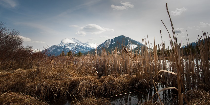 Sulphur Mountain, as seen from the shores of the Vermillion Lake in Banff, Alberta.