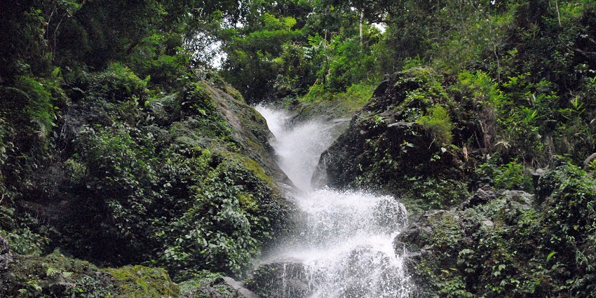 Majestic waterfall amidst greenery in Rimbik which is a serene escape for nature lovers.