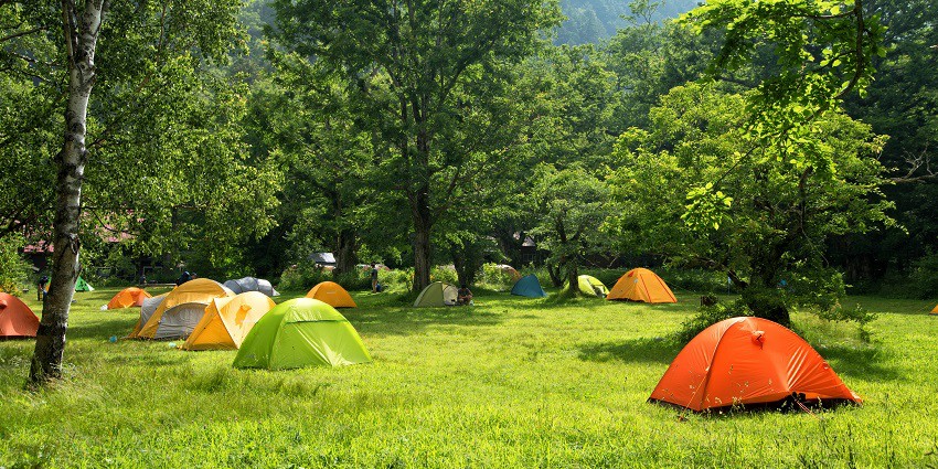 The best camp in Haridwar offers a cosy experience amidst lush greenery.