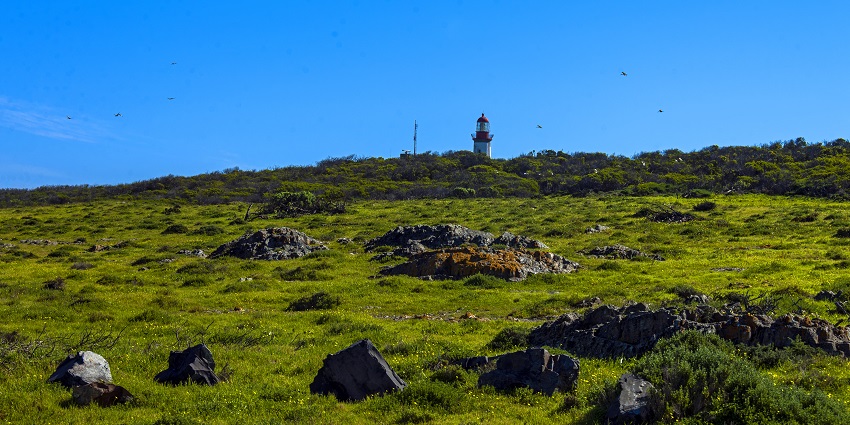 A glimpse of Robben Island Lighthouse which has been operational since 1864.