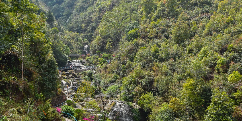 A picture of a cascading waterfall and greenery at Rock Garden, a beautiful picnic spot.