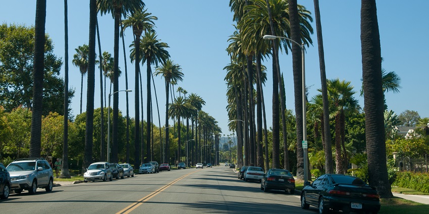  Cars parked on Rodeo Drive lined with tall palm trees on both sides of the road
