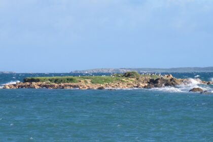 The stunning coastline of Rottnest Island is surrounded by turquoise waters.