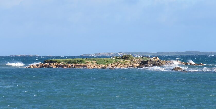 The stunning coastline of Rottnest Island is surrounded by turquoise waters.