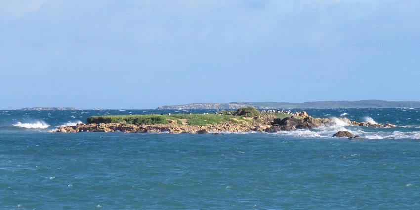Rottnest Island’s scenic beach is a top attraction amidst natural beauty.