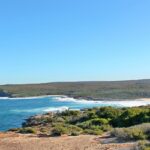 Appreciating the beauty of nature at Royal National Park in Australia.