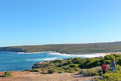 Appreciating the beauty of nature at Royal National Park in Australia.