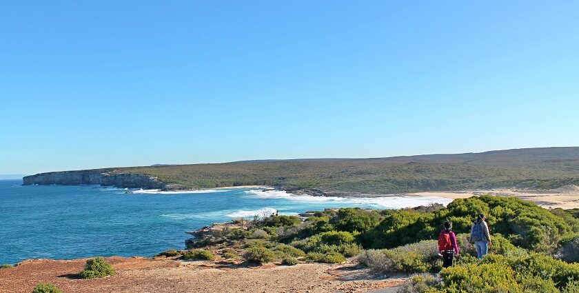 Appreciating the beauty of nature at Royal National Park in Australia.