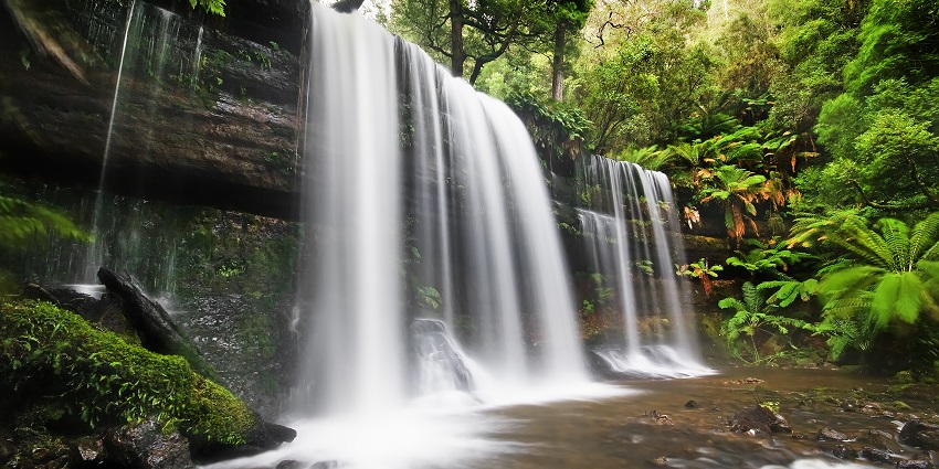 Russell Waterfall in Australia is a cascade amidst Tasmania's ancient, mossy forests