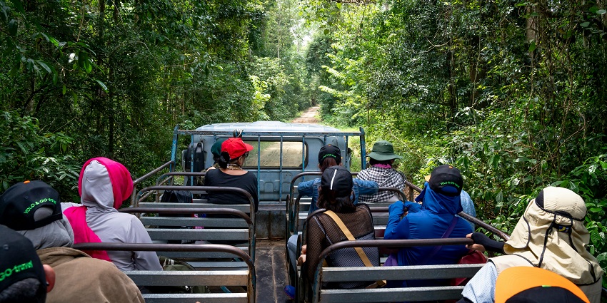 An image of a group of tourists enjoying a jungle safari in Pune in a dense forest.