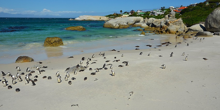 Quiet, serene beach ideal for relaxation and swimming.