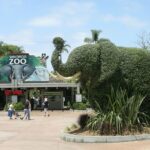 An image of the entrance of San Diego Zoo featuring an elephant statue and rich greenery