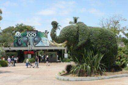 An image of the entrance of San Diego Zoo featuring an elephant statue and rich greenery