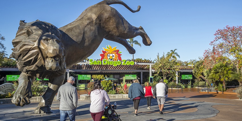 San Digo Zoo entrance with the statue of a lion and people walking past it