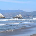 Seal Rocks at a beach with the ocean and rocks in view.