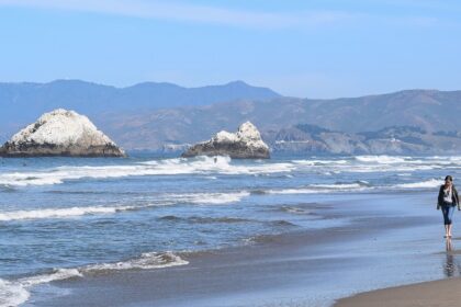 Seal Rocks at a beach with the ocean and rocks in view.