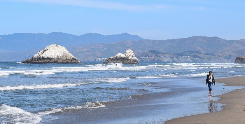 Seal Rocks at a beach with the ocean and rocks in view.