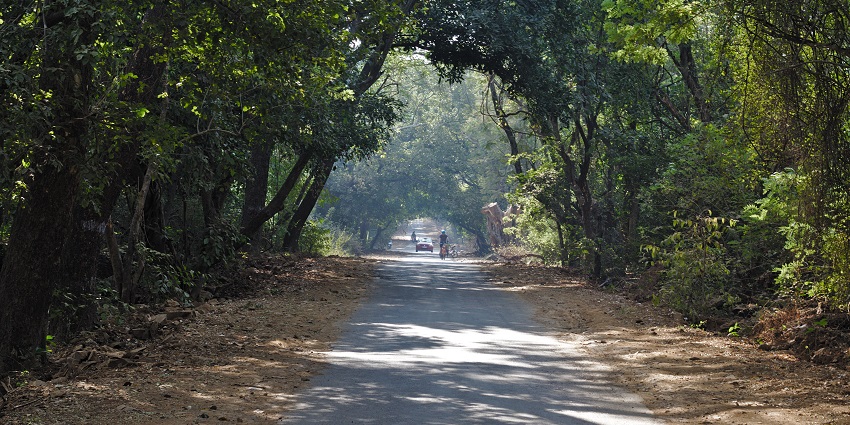 An image of the jeep safari in Sanjay Gandhi National Park with lush greenery.