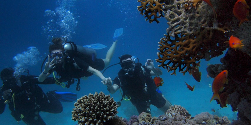 A view of a group of scuba divers diving at Saswane Beach, with very clear water.